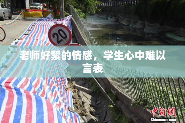 老师好紧的情感，学生心中难以言表