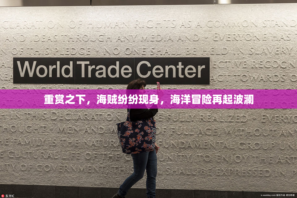 重赏之下，海贼纷纷现身，海洋冒险再起波澜