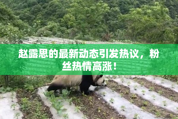 赵露思的最新动态引发热议，粉丝热情高涨！