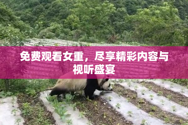 免费观看女重，尽享精彩内容与视听盛宴