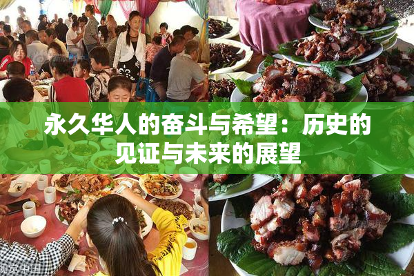 永久华人的奋斗与希望：历史的见证与未来的展望