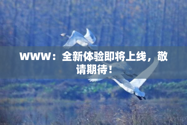 WWW：全新体验即将上线，敬请期待！