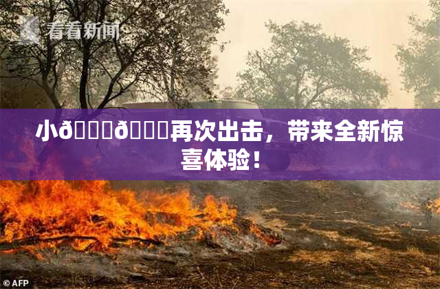 小🐔🐔再次出击，带来全新惊喜体验！
