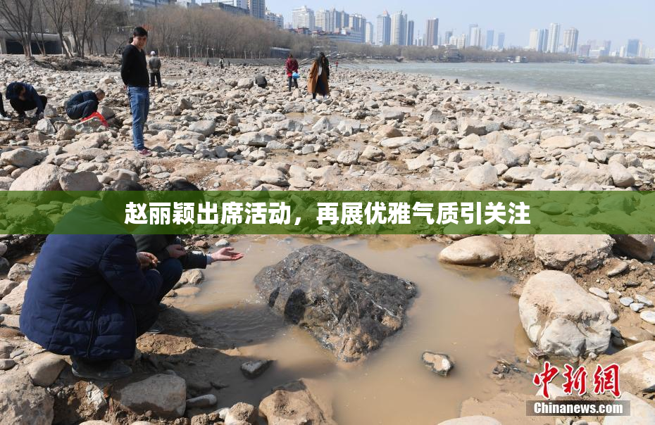 赵丽颖出席活动，再展优雅气质引关注