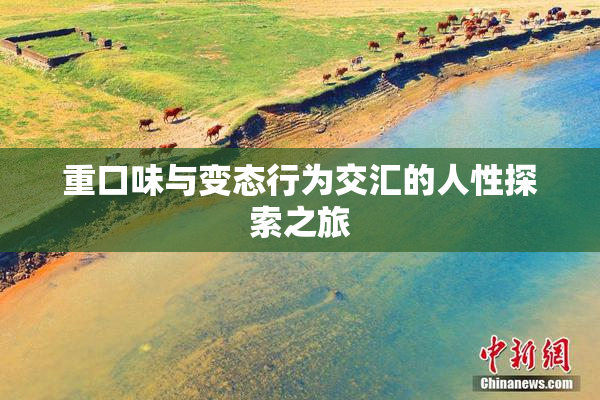 重口味与变态行为交汇的人性探索之旅