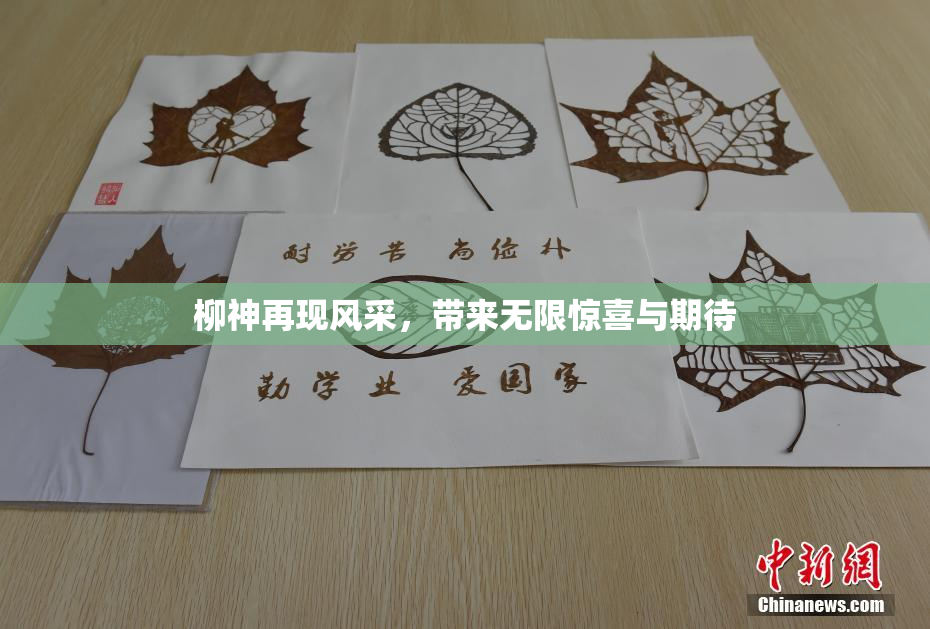 柳神再现风采，带来无限惊喜与期待