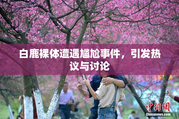 白鹿裸体遭遇尴尬事件，引发热议与讨论