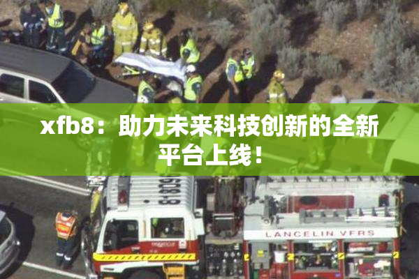 xfb8：助力未来科技创新的全新平台上线！