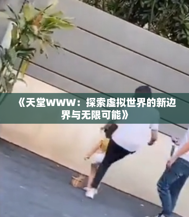 《天堂WWW：探索虚拟世界的新边界与无限可能》