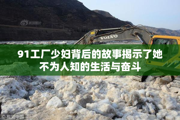 91工厂少妇背后的故事揭示了她不为人知的生活与奋斗