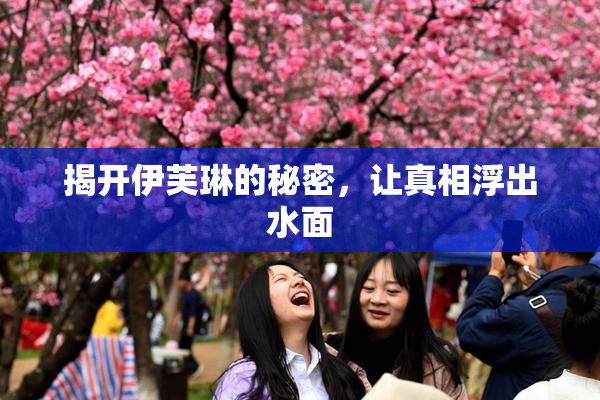 揭开伊芙琳的秘密，让真相浮出水面