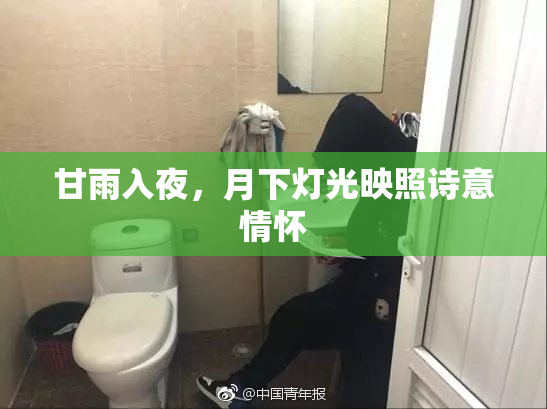甘雨入夜，月下灯光映照诗意情怀