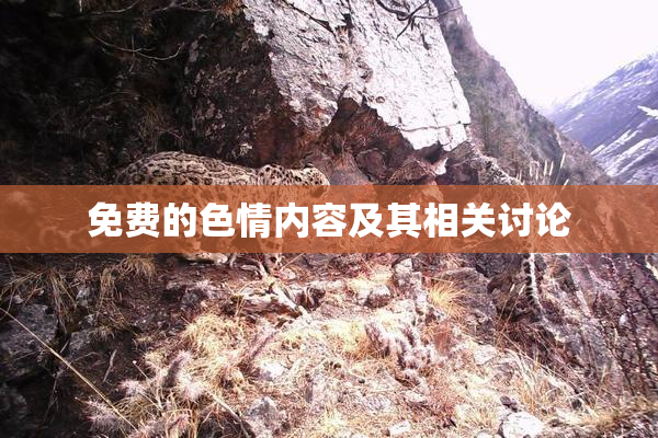免费的色情内容及其相关讨论
