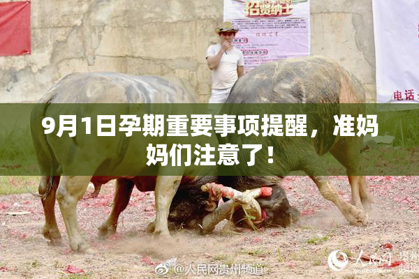9月1日孕期重要事项提醒，准妈妈们注意了！