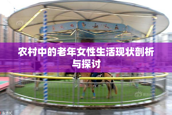农村中的老年女性生活现状剖析与探讨