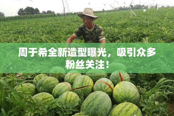 周于希全新造型曝光，吸引众多粉丝关注！