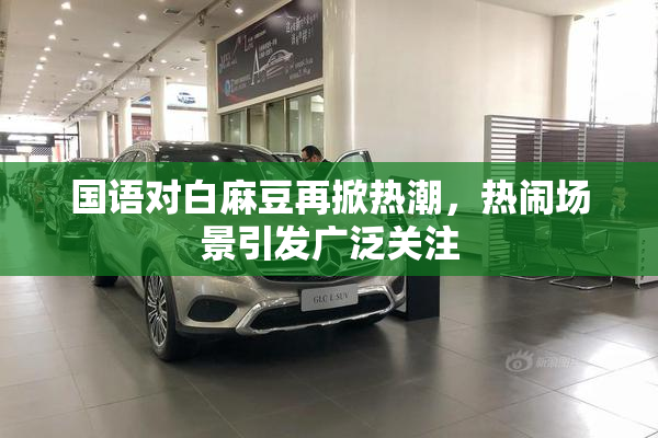 国语对白麻豆再掀热潮，热闹场景引发广泛关注