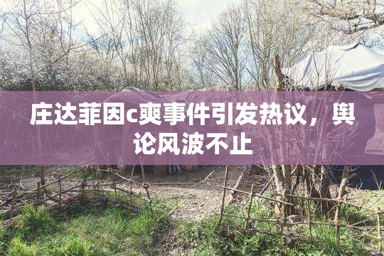 庄达菲因c爽事件引发热议，舆论风波不止