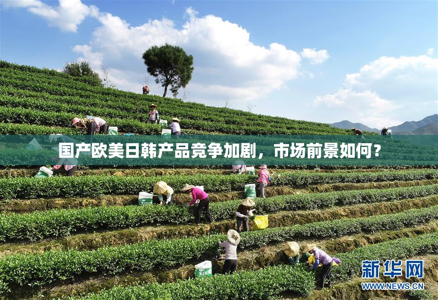 国产欧美日韩产品竞争加剧，市场前景如何？