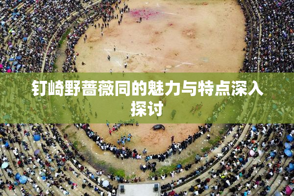 钉崎野蔷薇同的魅力与特点深入探讨