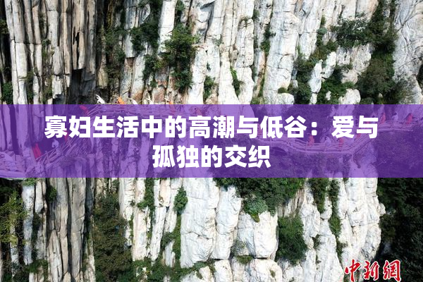 寡妇生活中的高潮与低谷：爱与孤独的交织