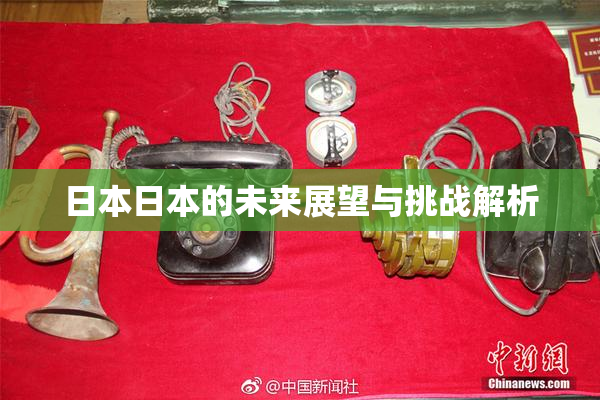 日本日本的未来展望与挑战解析