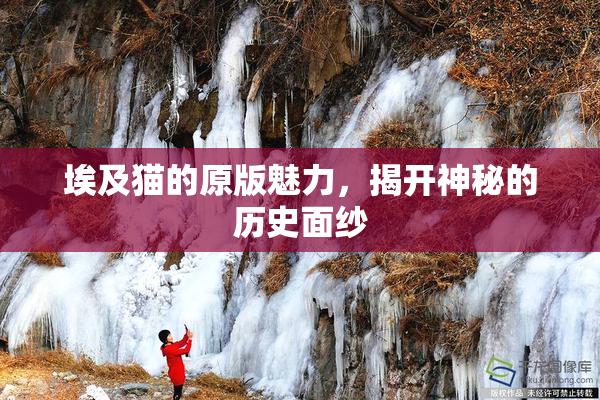 埃及猫的原版魅力，揭开神秘的历史面纱