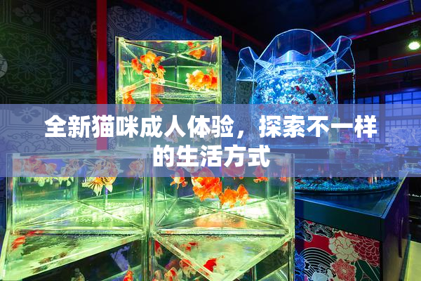 全新猫咪成人体验，探索不一样的生活方式