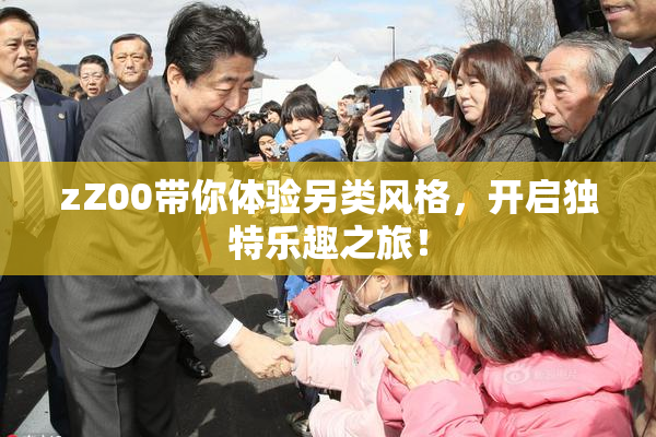 zZ00带你体验另类风格，开启独特乐趣之旅！