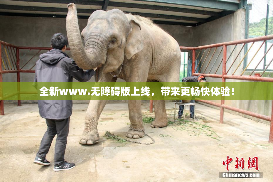 全新www.无障碍版上线，带来更畅快体验！