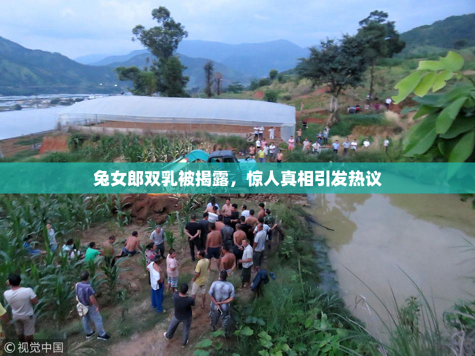 兔女郎双乳被揭露，惊人真相引发热议