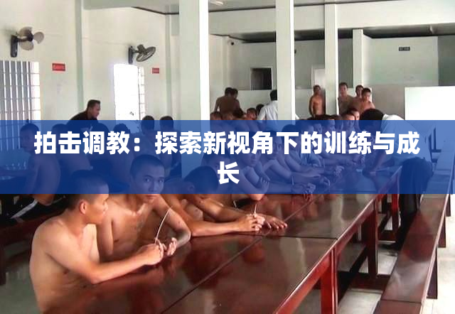 拍击调教：探索新视角下的训练与成长