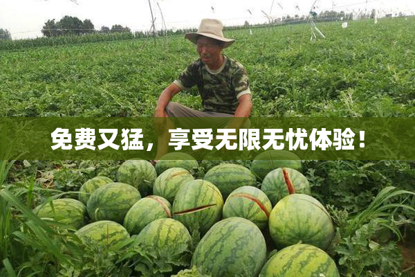 免费又猛，享受无限无忧体验！