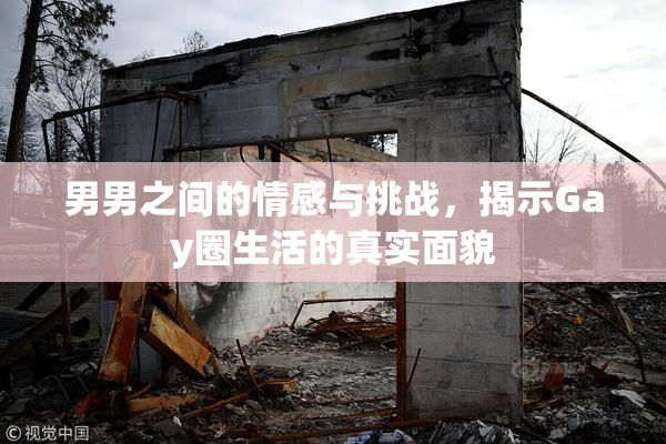 男男之间的情感与挑战，揭示Gay圈生活的真实面貌