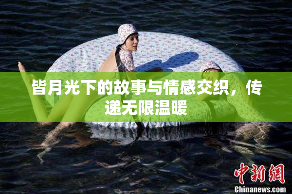 皆月光下的故事与情感交织，传递无限温暖