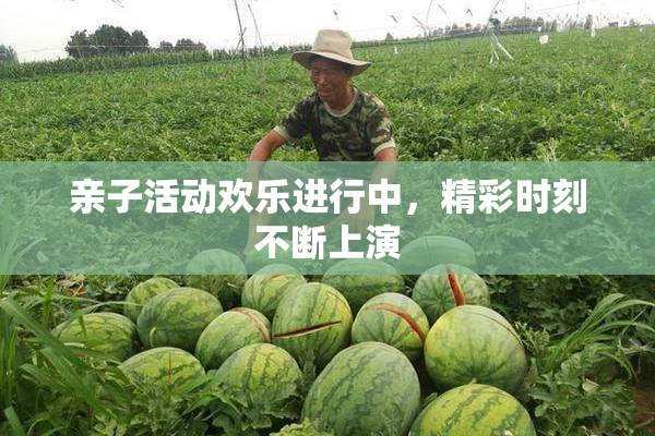 亲子活动欢乐进行中，精彩时刻不断上演