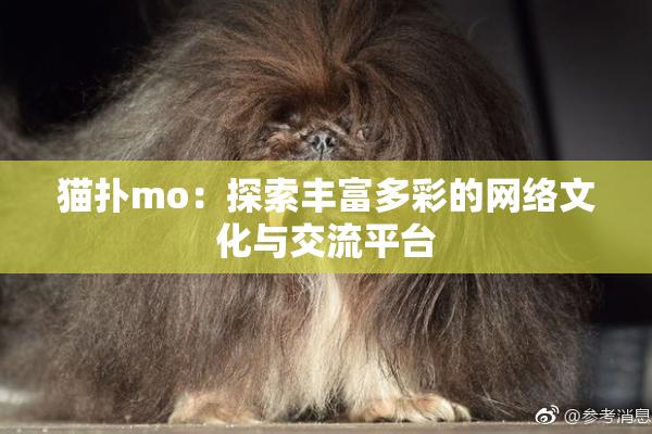 猫扑mo：探索丰富多彩的网络文化与交流平台