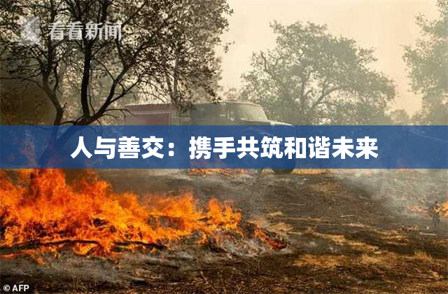 人与善交：携手共筑和谐未来