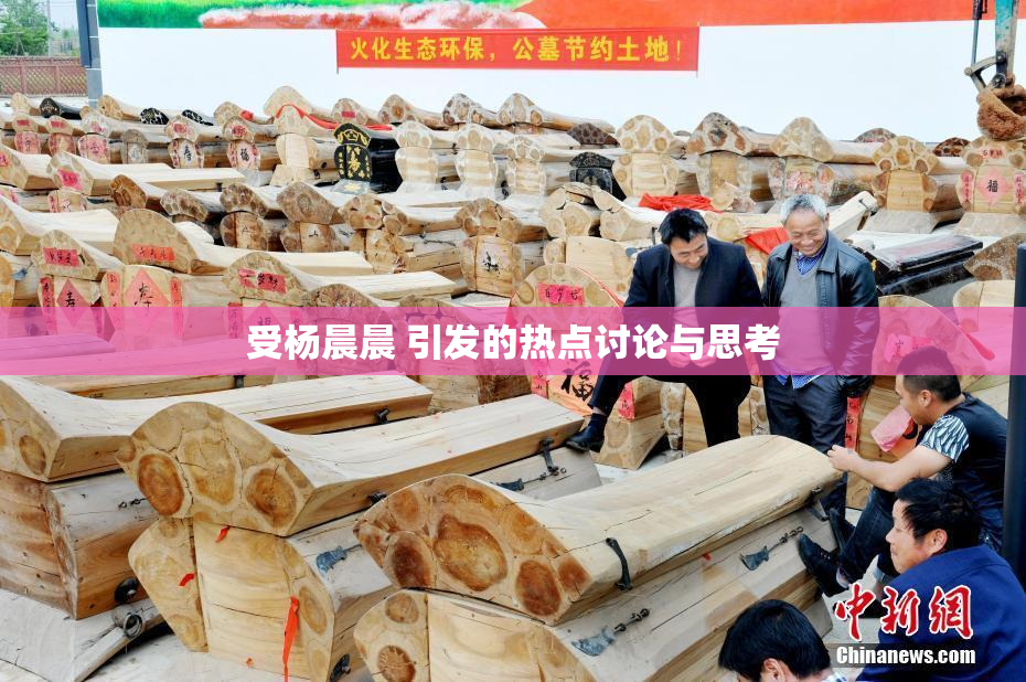 受杨晨晨 引发的热点讨论与思考