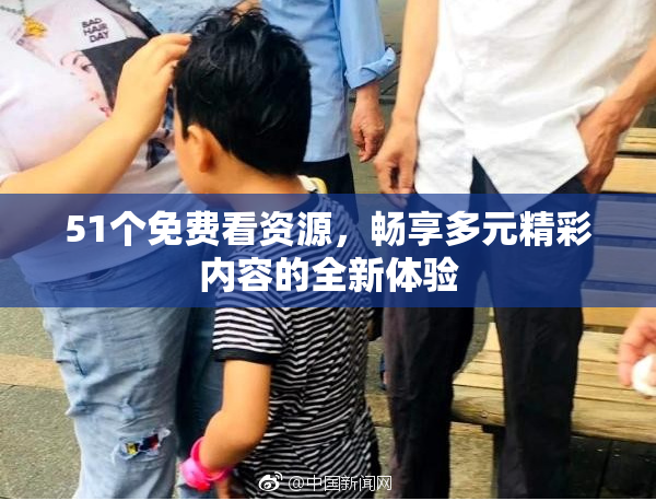 51个免费看资源，畅享多元精彩内容的全新体验