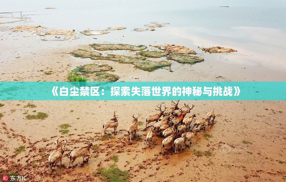 《白尘禁区：探索失落世界的神秘与挑战》