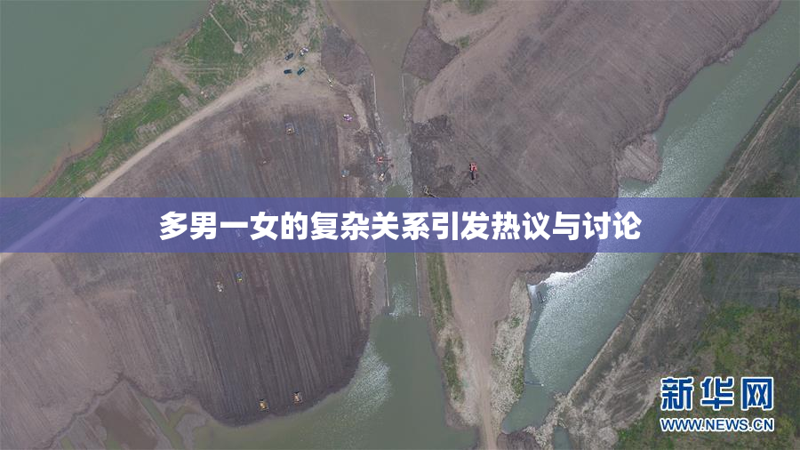 多男一女的复杂关系引发热议与讨论