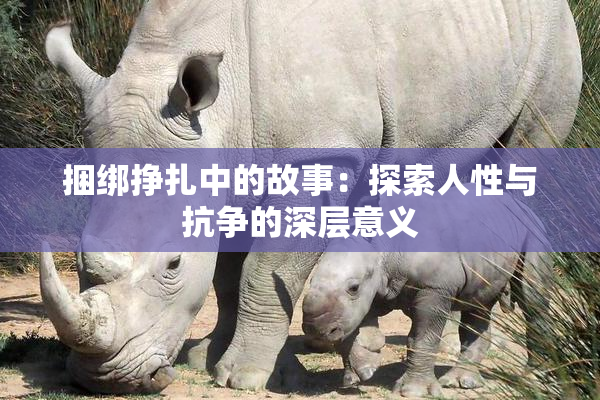 捆绑挣扎中的故事：探索人性与抗争的深层意义