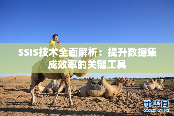 SSIS技术全面解析：提升数据集成效率的关键工具