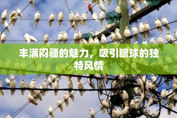 丰满闷骚的魅力，吸引眼球的独特风情