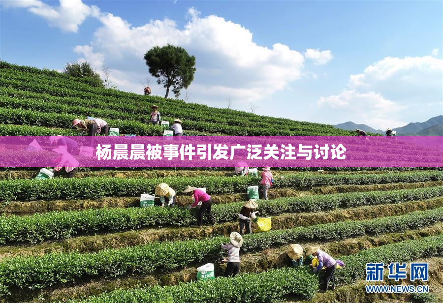 杨晨晨被事件引发广泛关注与讨论
