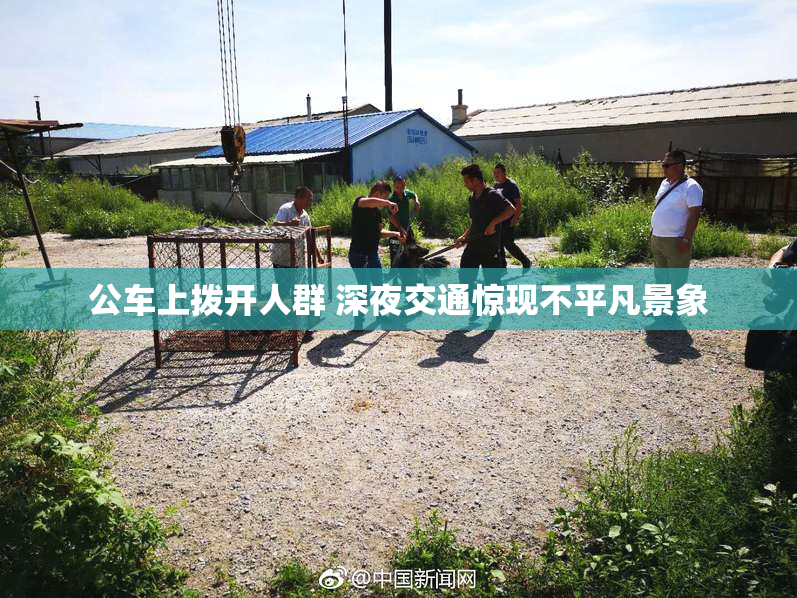 公车上拨开人群 深夜交通惊现不平凡景象