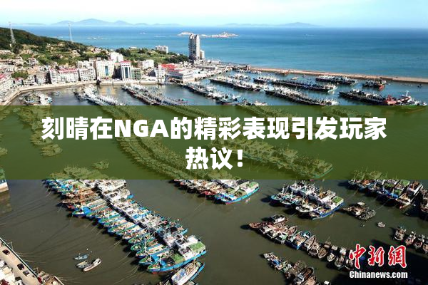刻晴在NGA的精彩表现引发玩家热议！