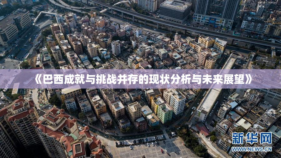 《巴西成就与挑战并存的现状分析与未来展望》