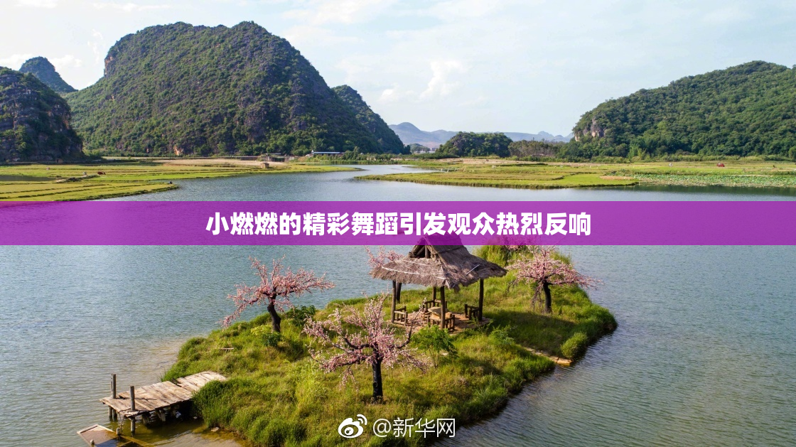 小燃燃的精彩舞蹈引发观众热烈反响